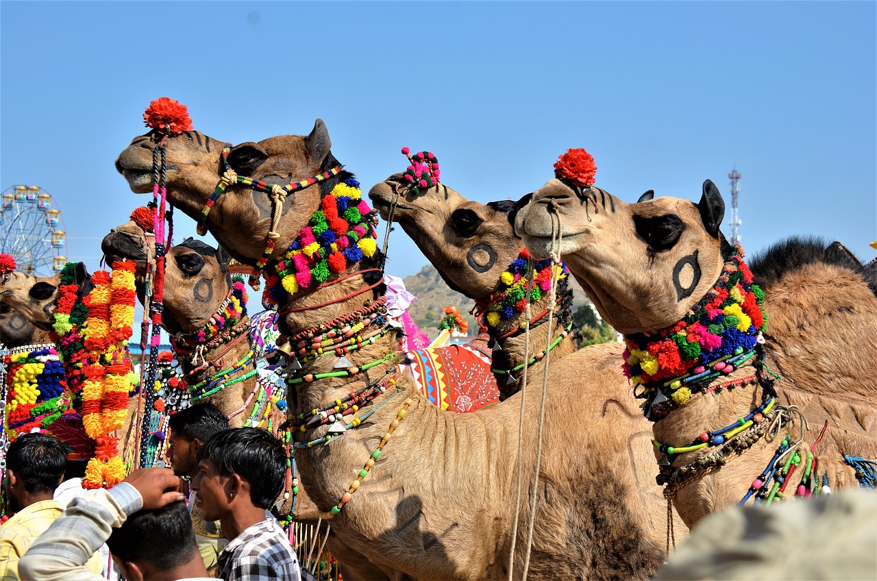 Pushkar-1